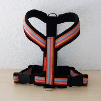 Gstältli FiveStripes Bauchgurt 59 cm - 75 cm