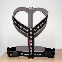 Gstältli BlackStar