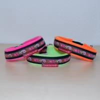 Mass Zugstopphalsband Paisley Neon