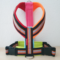 Gstältli FiveStripes Bunt FIX
