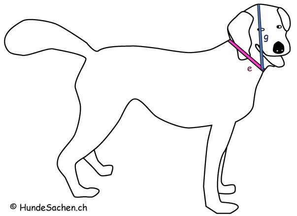 Messanleitung Halsband