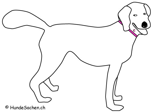 Messanleitung Halsband