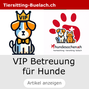 Zugstopphalsband