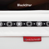 12 Webband BlackStar