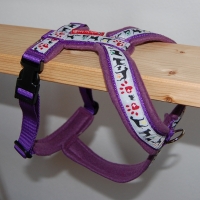 Gstältli Hundesachen Bauchgurt 50 cm - 64 cm
