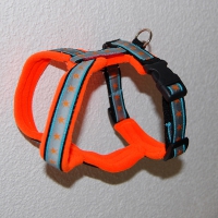 Gstältli OrangeStar neonorange XXS