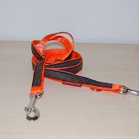 Leine DreieckTürkis orange 2 Meter