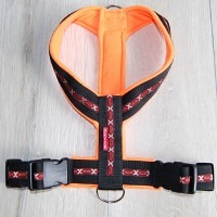 Gstältli IndianOrange Grösse 0 (XS) Bauchgurt 35..
