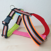 Gstältli FiveStripes Bunt FIX