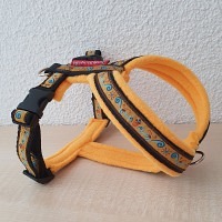Gstältli Eichhörnli Bauchumfang 36 cm - 46 cm