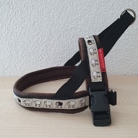Norweger Schafe Bauchumfang 50 - 66 cm