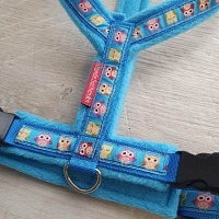Mass Gstältli EulenBlau blau