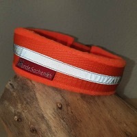 Mass Zugstopphalsband reflektierend orange
