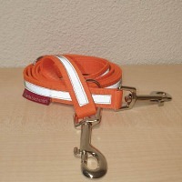 Reflektierende Leine 2 Meter orange