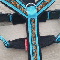 Gstältli DreieckTürkis Bauchgurt 60 cm - 76 cm