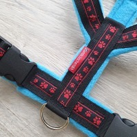Mass Gstältli PfotenBlack schwarz/hellblau