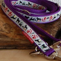 Aktion - Leine Hundesachen violett 2 Meter doppelt