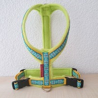 Mass Gstältli Schmetterling gelb/lime