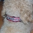 Bild 4 von 6
