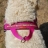 Bild 4 von 5