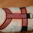 Bild 4 von 6