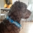 Bild 5 von 6