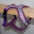 Bild 2 von 4